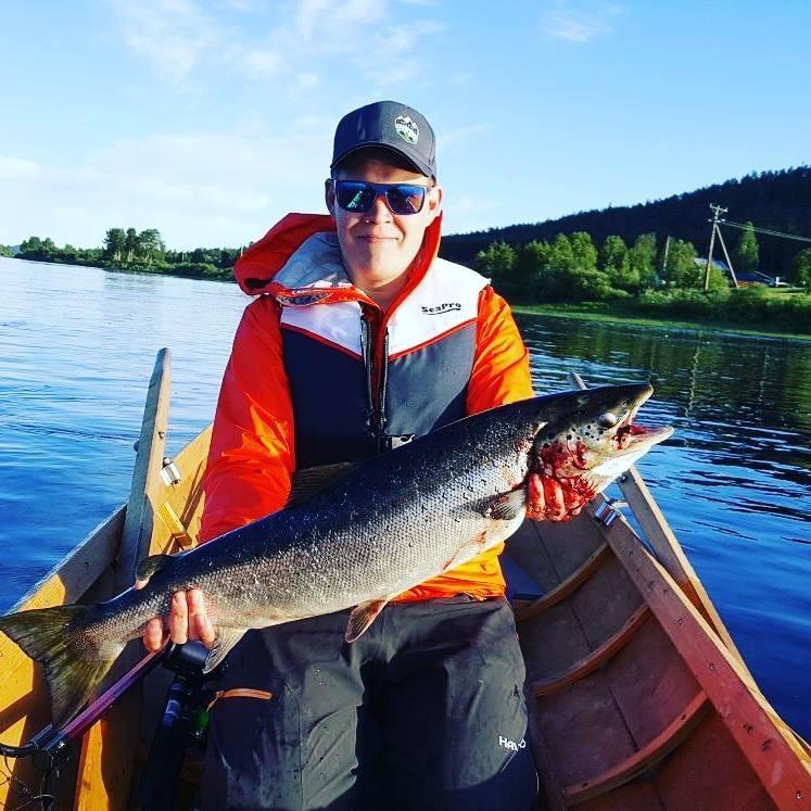 Arctic Camping Finland Hotel Pello Buitenkant foto
